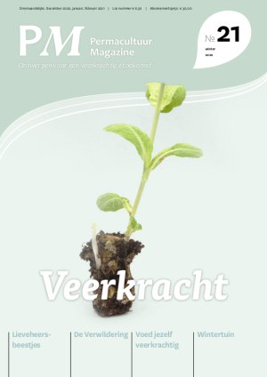 Nummer 21: Veerkracht Cover PM 21